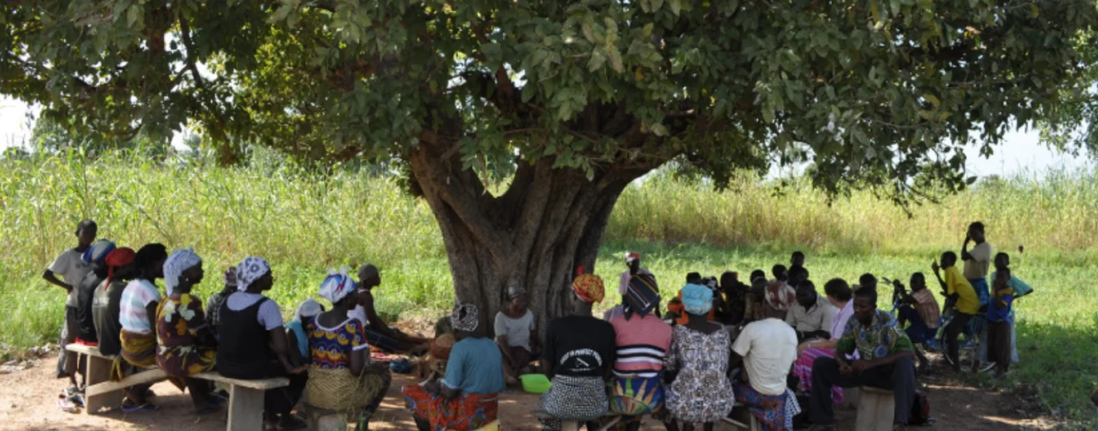 Guardians meeting in a circle outdoors